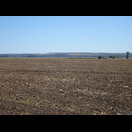 Das übliche Bild: Felder in flachem Gelände bis zur Donau und dahinter die Hügel des bulgarischen Donauufers